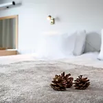 Lapland Bear's Hotel Sinettä