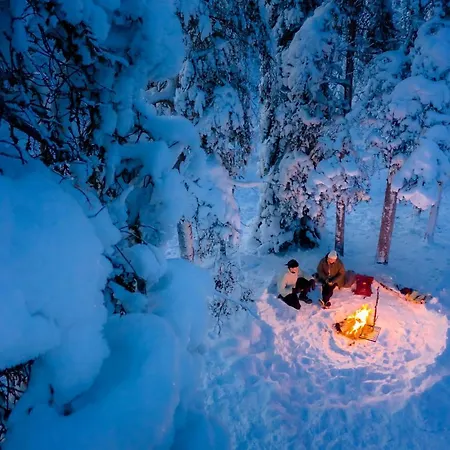 Lapland Bear's 4* Sinettä