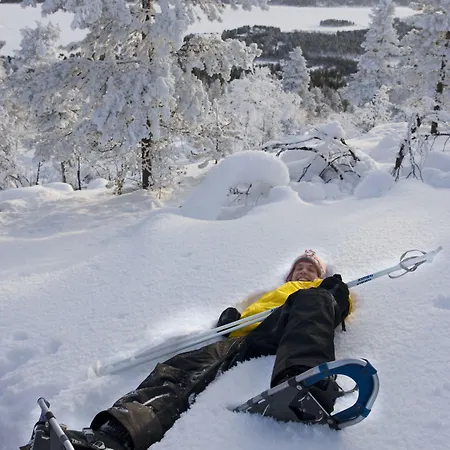 Hotel Lapland Bear's