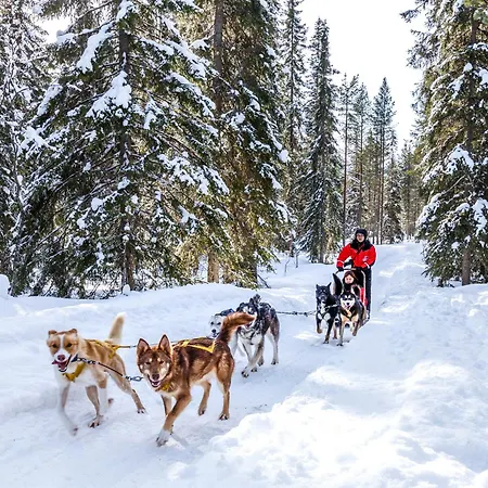 Hotel Lapland Bear's Sinettä