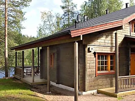 Lapland Bear's