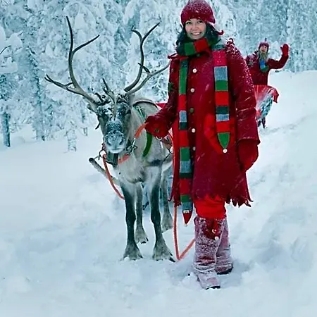 Lapland Bear's 4*