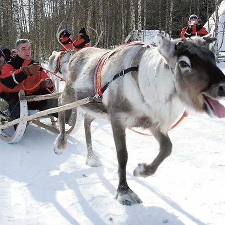 Lapland Bear's מלון 4*