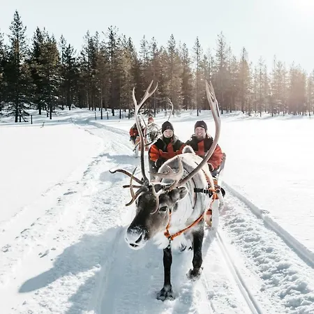 Hotel Lapland Bear's Sinettä