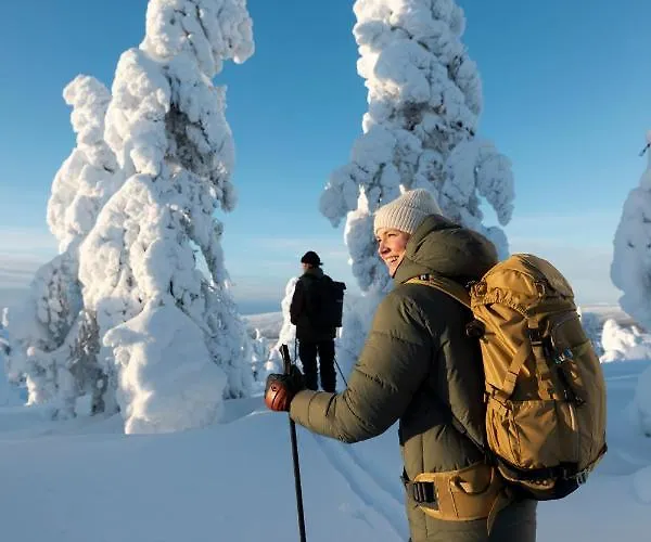 酒店 比尔旅馆拉普兰酒店 4*
