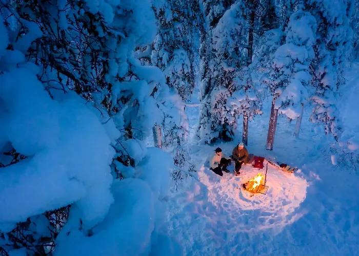 比尔旅馆拉普兰酒店 4* 希内塔