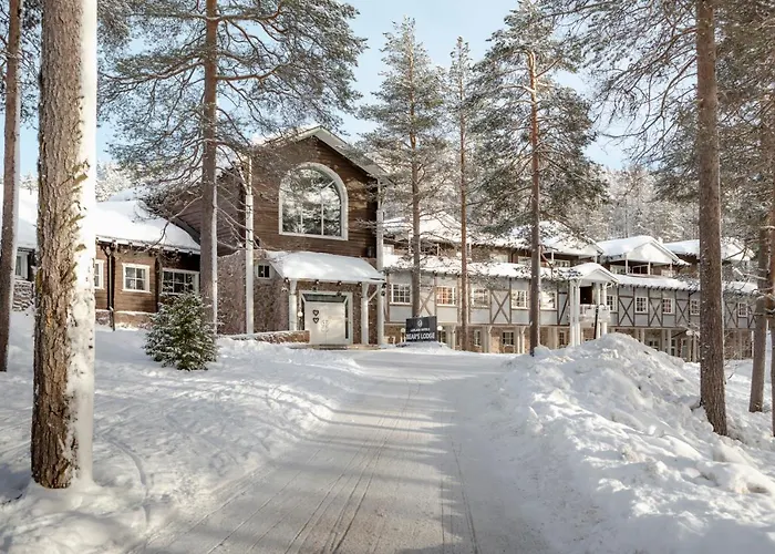 比尔旅馆拉普兰酒店 希内塔