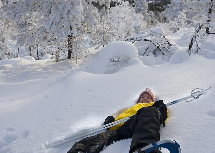酒店 比尔旅馆拉普兰酒店