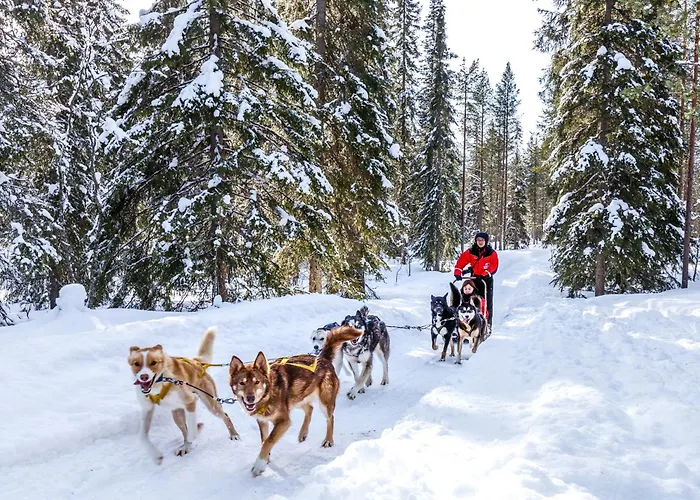 酒店 比尔旅馆拉普兰酒店 希内塔
