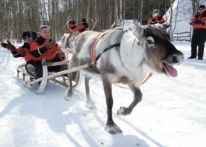 比尔旅馆拉普兰酒店 酒店 4*