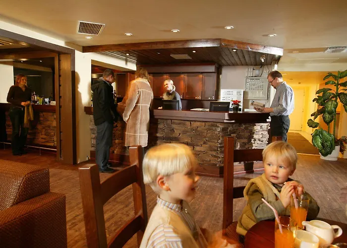 酒店 比尔旅馆拉普兰酒店 希内塔