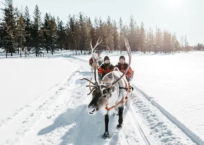 酒店 比尔旅馆拉普兰酒店 希内塔