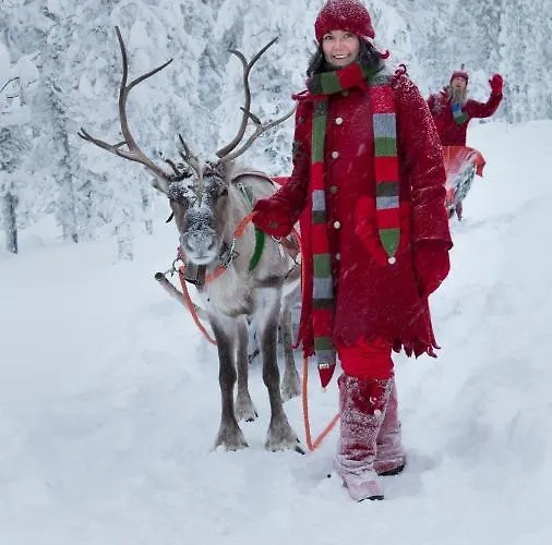 比尔旅馆拉普兰酒店